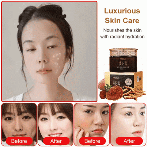 Cordyceps Ganoderma Concealer Cream