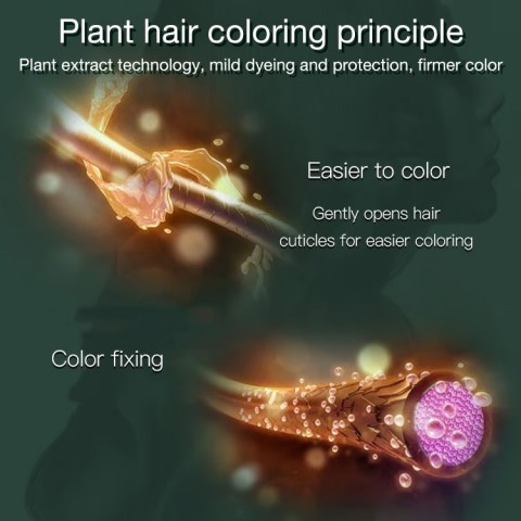 Fruit Essence Hair Dyeing Comb