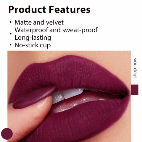 5-in-1 Matte Lipstick